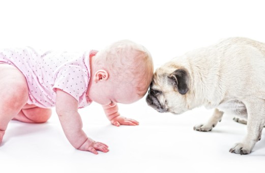 rencontre-enfant-chien