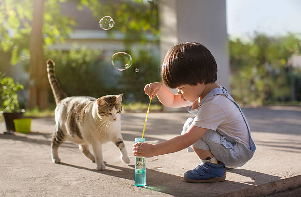 Jeune enfant qui joue à faire des bulles avec son chat
